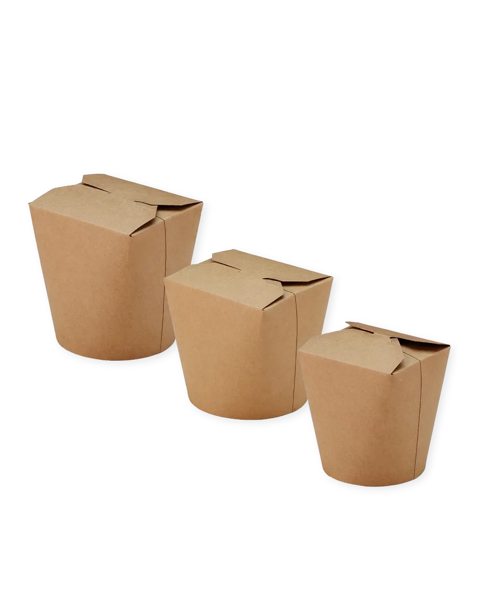 ASIA-FALTBOX I NUDELBOX BRAUN | UNBEDRUCKT