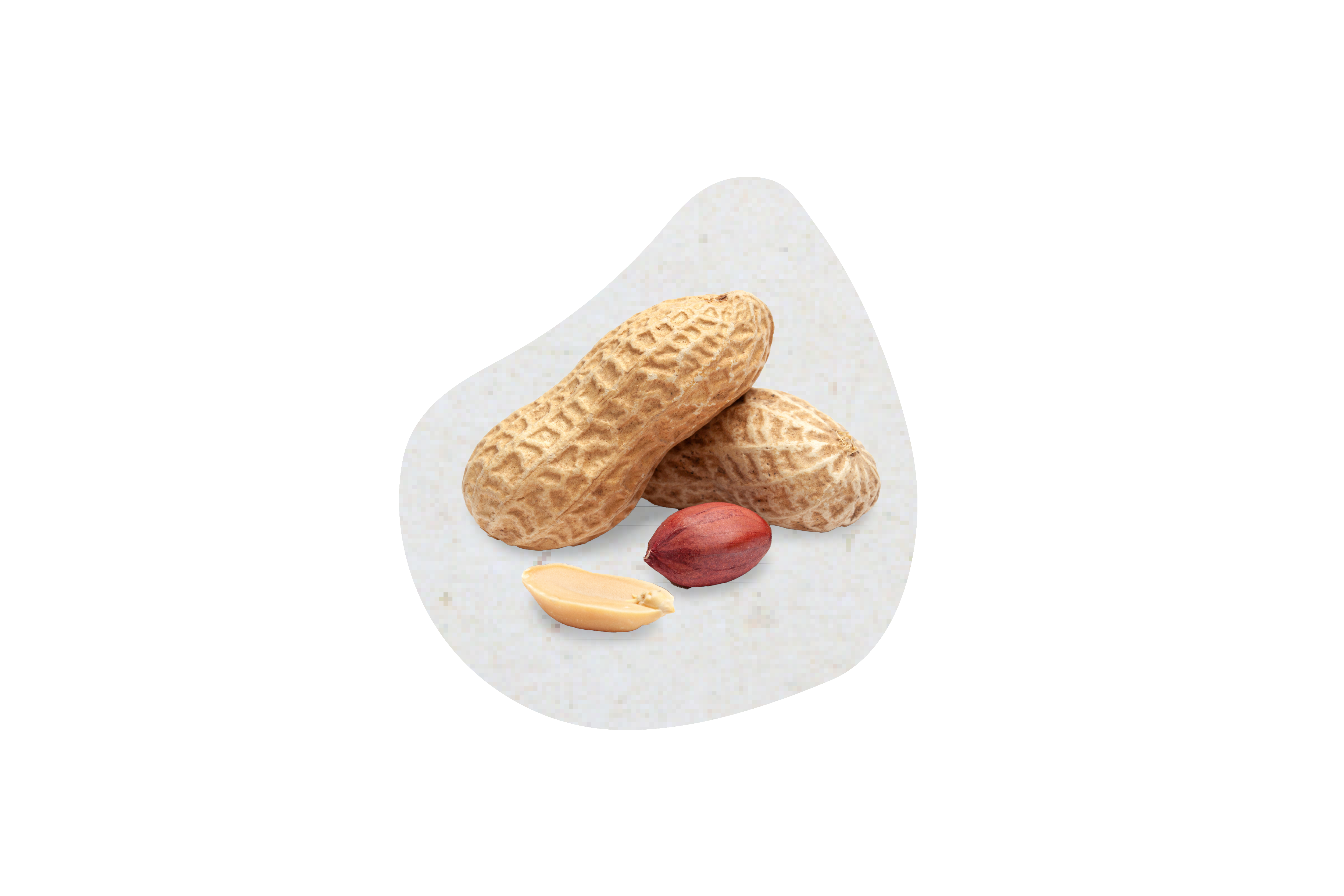 Erdnuss/Salty Peanuts 100% Fonte Gusto (6 KG)