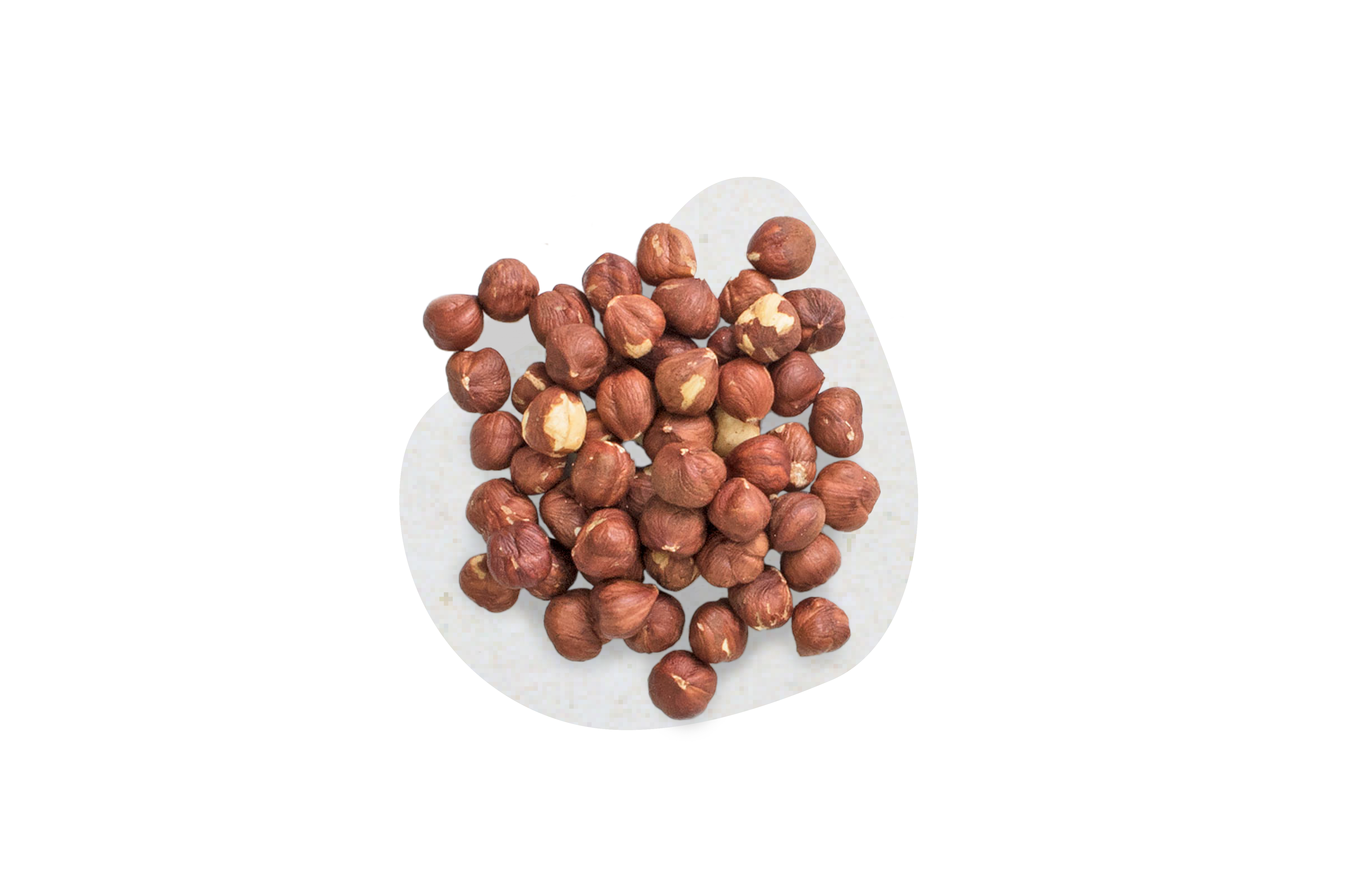 SR Haselnusskerne, 13-15mm (16 KG)