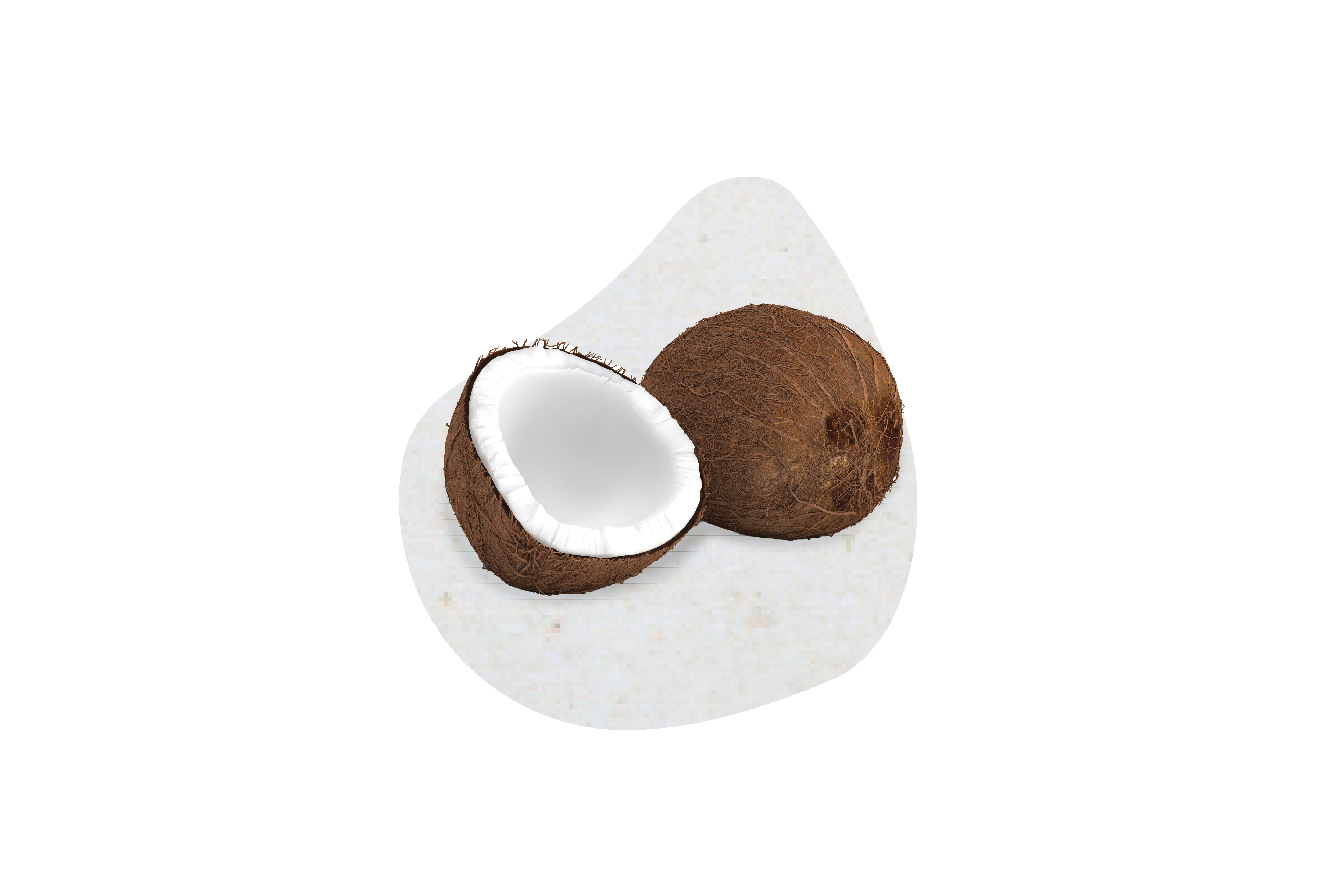 Variegato Cocco-Bello-Crunch Fonte Gusto (7 KG)